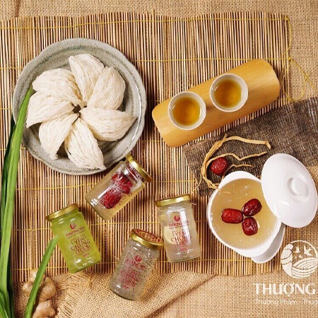 Tổ yến