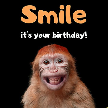 Lời chúc mừng sinh nhật hài hước