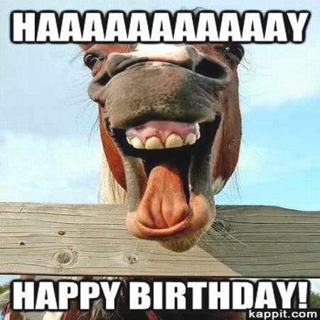 STT chúc mừng sinh nhật vui