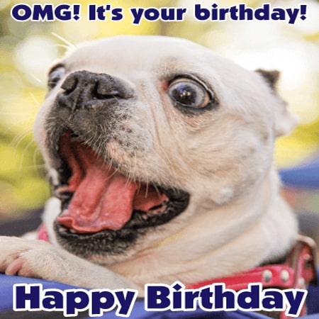 Hình ảnh chúc mừng sinh nhật vui vẻ