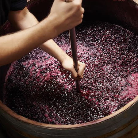 Tannin trong rượu Vang