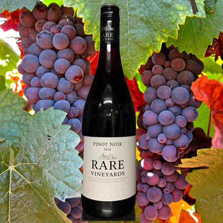 rượu vang đỏ Pinot Noir