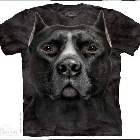 Áo thun in hình 3d