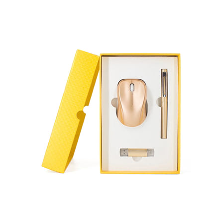 Bộ Giftset chuột, usb, bút ký