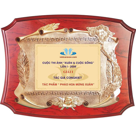 Kỷ niệm chương bằng gỗ đồng