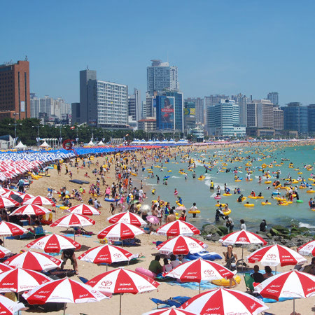 ô dù quảng cáo ngoài trời làm quà tặng