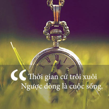 câu nói về thời gian tuyệt vời
