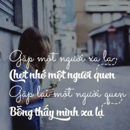 Stt thất tình hay