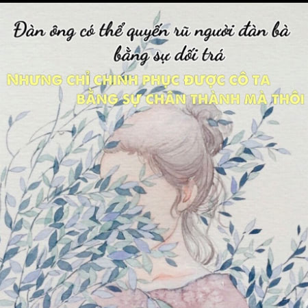 stt về phụ nữ hay nhất